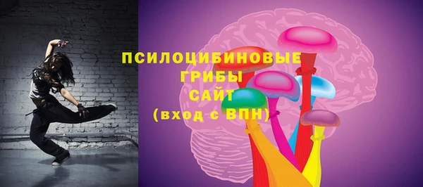 прущий лед Абаза