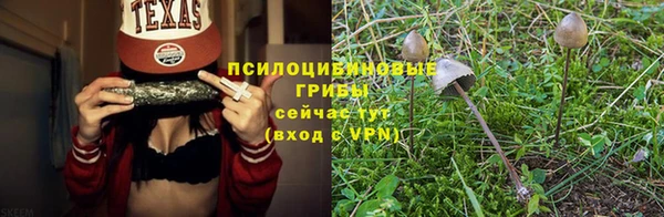 гидропоника Абдулино