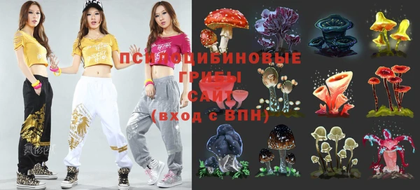 гидропоника Абдулино