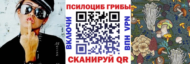 как найти закладки  Нюрба  Псилоцибиновые грибы MAGIC MUSHROOMS 
