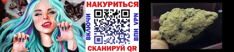 blacksprut ТОР  Нюрба  Каннабис индика 